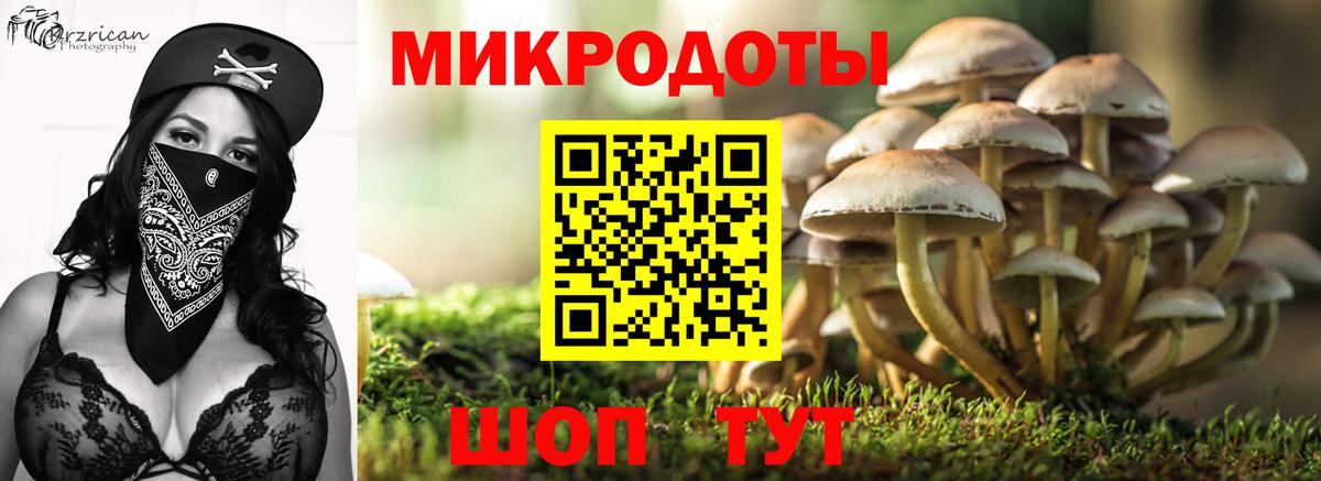 Псилоцибиновые грибы Magic Shrooms Мариинск